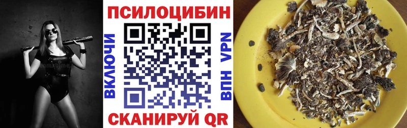 Галлюциногенные грибы Magic Shrooms  где купить   Ставрополь 